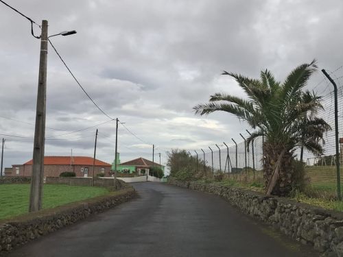 REGISTO DE ATIVIDADES 29NOV-05DEZ