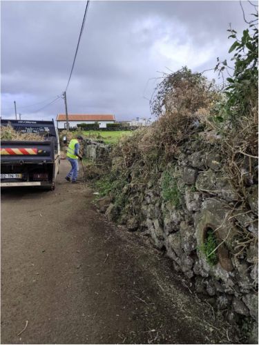 REGISTO DE ATIVIDADES 10JAN a 16JAN