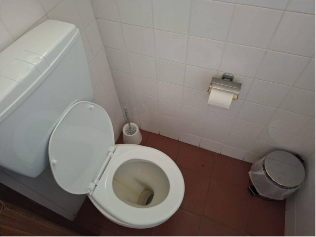 Estado da Escola do Juncal - Ap&oacute;s Interven&ccedil;&atilde;o da JFSC (2025-2029)