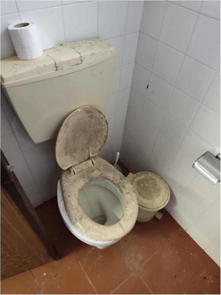 Estado da Escola do Juncal - Antes da Interven&ccedil;&atilde;o da JFSC (2025-2029)